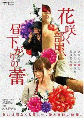 星尘恋歌电影海报